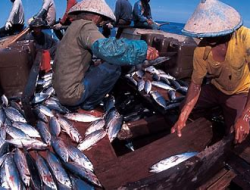 Anggota DPRD Sebut Perlu Dukungan Untuk Bidang Olahraga Dan Perikanan Di Pati