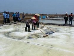 Sukarno Merasa Kecewa Karena Rencana Pabrik Washing Garam Tak Terealisasi