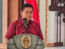 Ali Sebut Impor Beras Akan Berdampak Pada Petani Yang Panen Raya