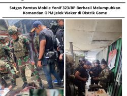 Satgas Pamtas Mobile Yonif 323/BP Berhasil Melumpuhkan Komandan OPM Jelek Waker Di Distrik Gome