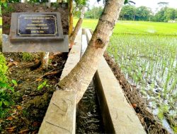 Aneh, Ada Pohon Kelapa Ditengah Bangunan RPJIT Desa Tinggarjaya