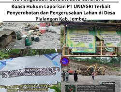 Kuasa Hukum Laporkan PT UNIAGRI Terkait Penyerobotan dan Pengerusakan Lahan di Desa Plalangan Kabupaten Jember