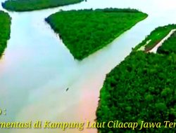 Dampak Sedimentasi di Kampung Laut : Analisis dan Penanganan