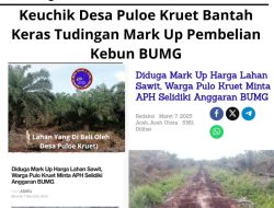 Keuchik Desa Puloe Kruet Bantah Keras Tudingan Mark Up Pembelian Kebun BUMG