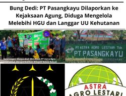 Bung Dedi: PT Pasangkayu Dilaporkan ke Kejaksaan Agung, Diduga Mengelola Melebihi HGU dan Langgar UU Kehutanan