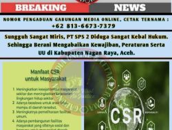 Sungguh Sangat Miris, PT SPS 2 Diduga Sangat Kebal Hukum. Sehingga Berani Mengabaikan Kewajiban, Peraturan Serta UU di Kabupaten Nagan Raya, Aceh