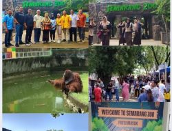 Semarang Zoo: Peningkatan Pengunjung Fantastis di Lebaran 2025
