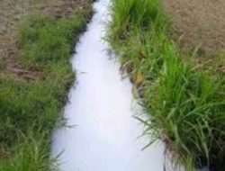 Anggota Komisi C DPRD Pati Minta DPUTR Bersinergi Dengan BBWS Untuk Hindari Pencemaran Sungai