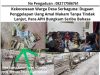 Kekecewaan Warga Desa Serbaguna: Dugaan Penggelapan Uang Amal Makam Tanpa Tindak Lanjut, Para APH Bungkam Seribu Bahasa