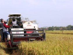 Anggota Dewan Pati Berharap Pati Jadi Penunjang Lumbung Pangan Nasional dan Produksi Padi Naik