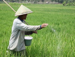 Hardi, Dorong Pemkab Pati Tangani Sampah Supaya Bermanfaat Untuk Jadikan Pupuk Organik