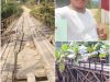 Jembatan Lubuk Agung – Sungai Sarik Hampir Roboh, Pemkab Kampar “Tutup Mata”?
