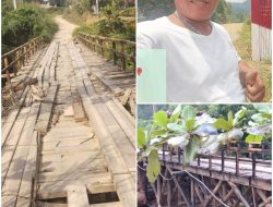 Jembatan Lubuk Agung – Sungai Sarik Hampir Roboh, Pemkab Kampar “Tutup Mata”?