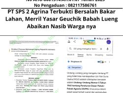 PT SPS 2 Agrina Terbukti Bersalah Bakar Lahan, Merril Yasar Geuchik Babah Lueng Abaikan Nasib Warga nya