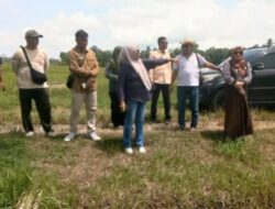 Komisi II DPRD Pangandaran Tinjau Langsung 700 Ha Sawah di Kecamatan Mangunjaya Yang Sering Terdampak Kekeringan