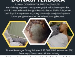 GMOCT: Gabungan Media Online dan Cetak Ternama  AJAKAN DONASI UNTUK PUPUT ALEFIA PUTRI
