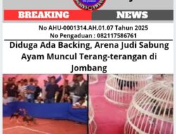 Diduga Ada Backing, Arena Judi Sabung Ayam Muncul Terang-terangan di Jombang