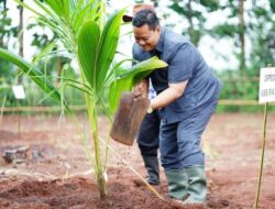 Dewan Pati Apresiasi Atas Inisiatif Dinas Pertanian dalam Mengebangkan Tanaman Kelapa Kopyor
