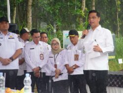 Sulap Lahan Pinggir Jalan Jadi “ATM Desa”, Bupati Tanam Kioji dan Kelengkeng di Kembang, Panen Bisa Cuan Rp 1 Juta per Pohon