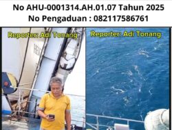 Berkat Viral di Media GMOCT, KMP Mutiara Persada Akhirnya Bergerak, Penumpang Ucapkan Terima Kasih