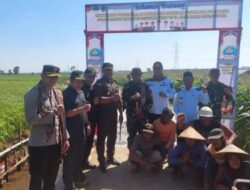 Mas Bupati Jepara Dan Dandim 0719 Membuka TMMD Sengkuyung III 2026 di Desa Kedungleper Untuk Mempercepat Pembangunan Desa