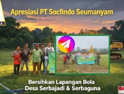 Pj. Kepala Desa dan Kepala Desa Apresiasi PT Socfindo Seumanyam Atas Dukungan Bersihkan Lapangan Bola