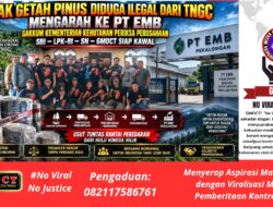 Jejak Getah Pinus Diduga Ilegal dari TNGC Mengarah ke PT EMB — Gakkum Kementerian Kehutanan Lakukan Pemeriksaan, SBI–LPK-RI–SN–GMOCT Siap Kawal