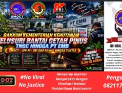 Gakkum Kementrian Kehutanan Telusuri Rantai Getah Pinus TNGC Hingga PT EMB, GMOCT–LPK-RI–SBI Siap Kawal Hingga Tuntas