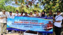 Pembangunan Masih Berjalan, Budidaya Rumput Laut Kemujan Belum Panen