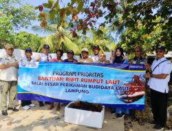 Pembangunan Masih Berjalan, Budidaya Rumput Laut Kemujan Belum Panen